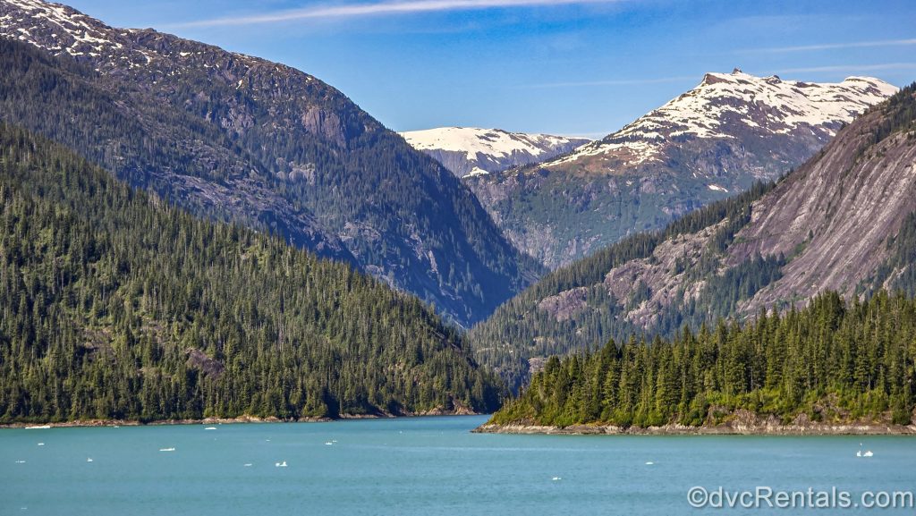Snowcapped, forest-covered mountains are seen along the Endicott Arm Fjord in Alaska under a sunny sky. Small iceberg pieces float by in the blue water below.