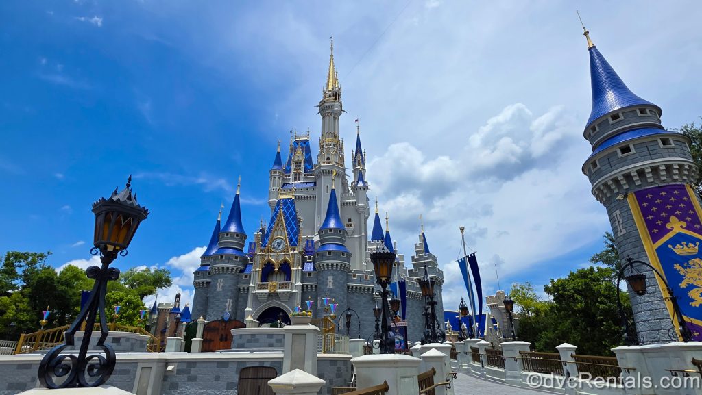 Magic Kingdom Castle